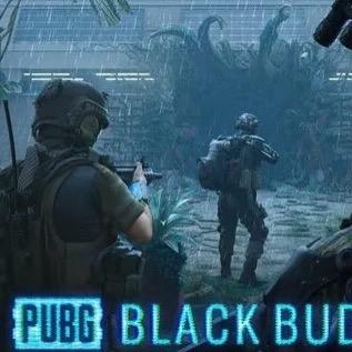 PUBG十四（黑域撤离）