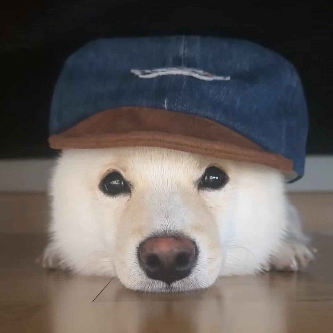 午时五