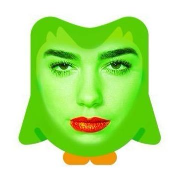 Pania是只英明的猫头鹰🦉