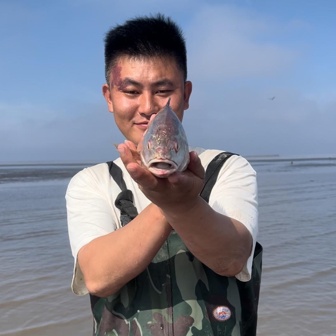 老实巴交的大国