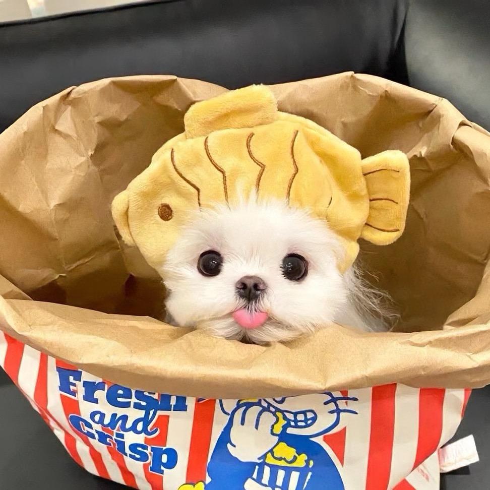 八方来财小宝贝⊹ ࣪ ˖