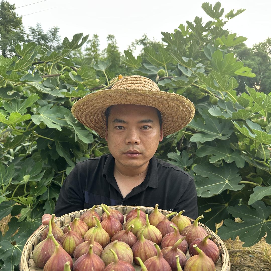 嘉选果蔬甄选