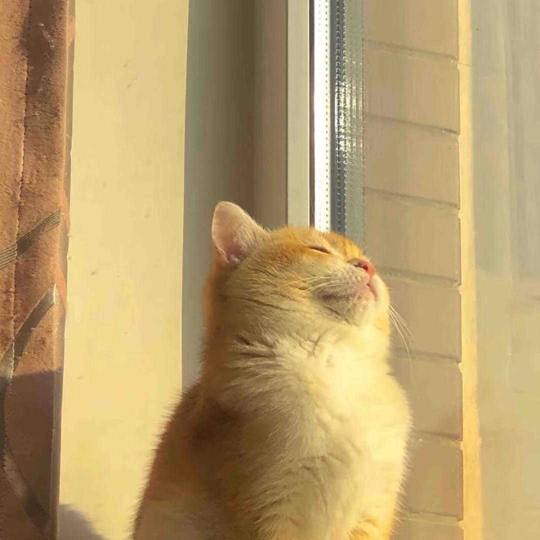 王囡囡的私服❤️