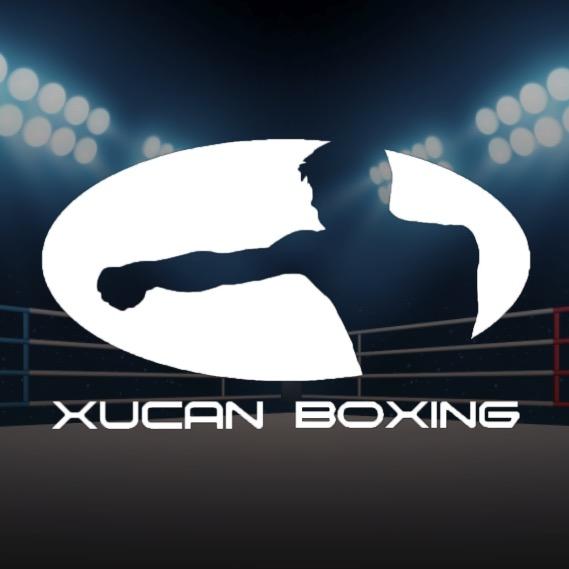 XUCAN BOXING 徐灿拳击