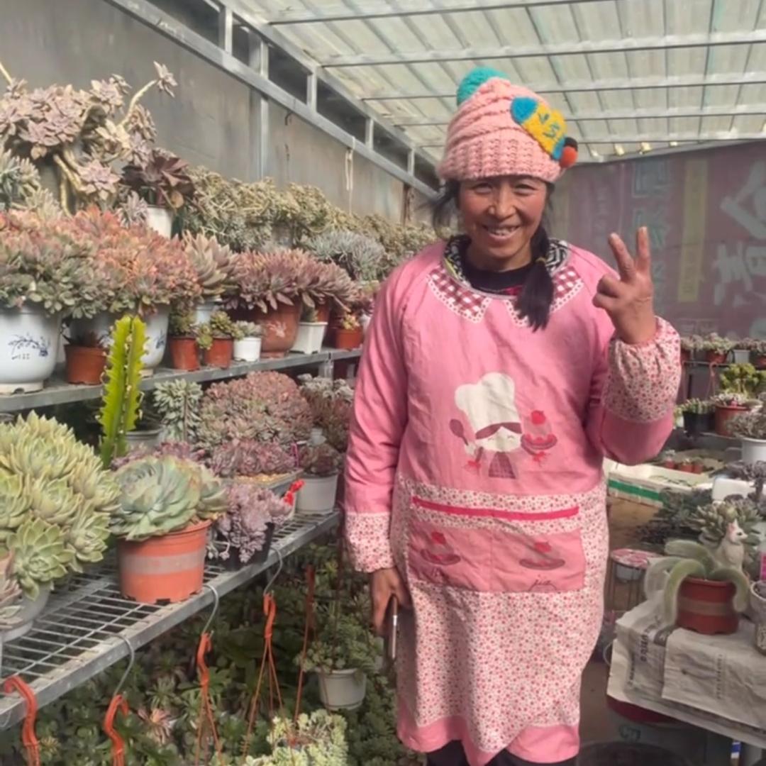 连梦奇缘(不定时开播)