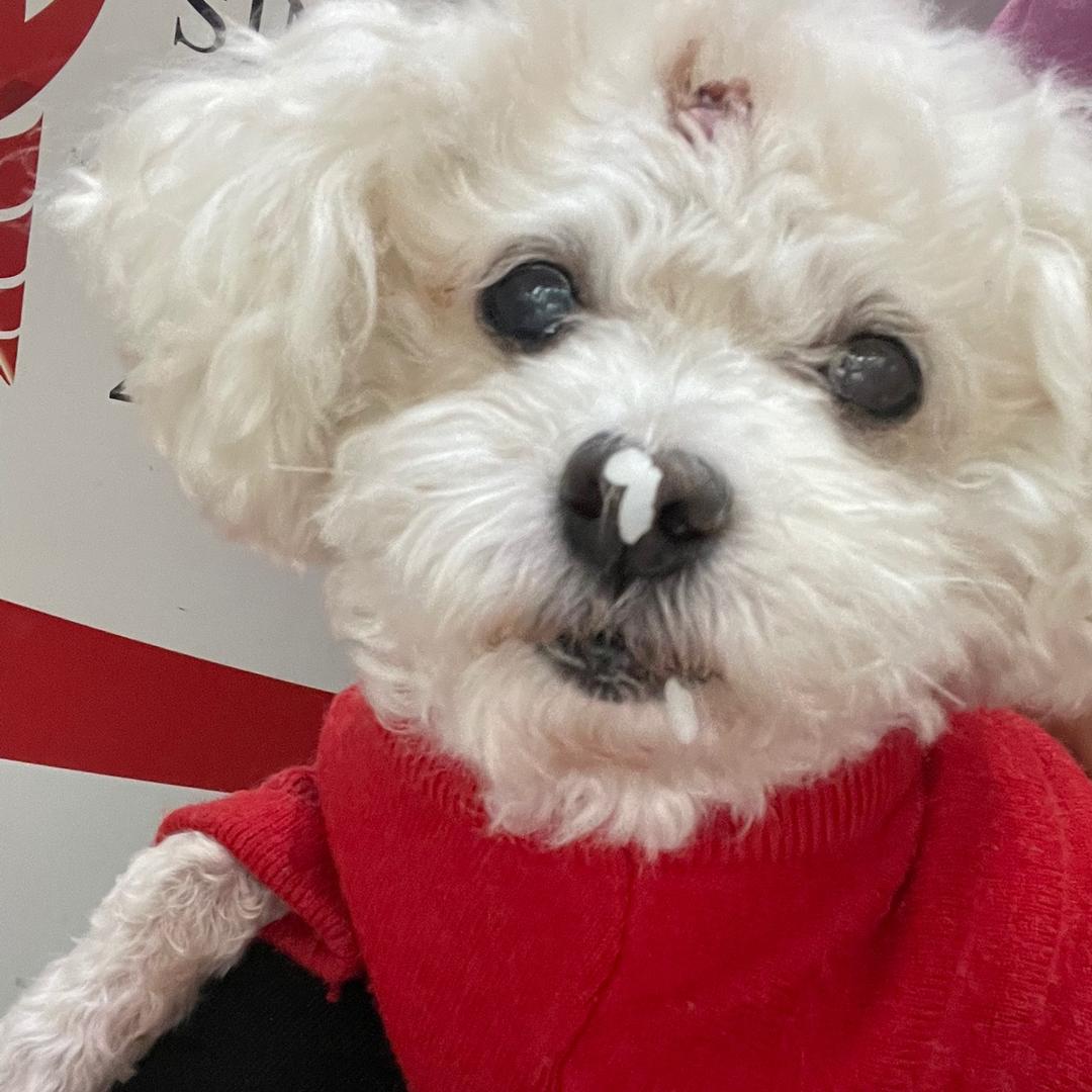 ꧁ஐ.好久不見.ஐ꧂