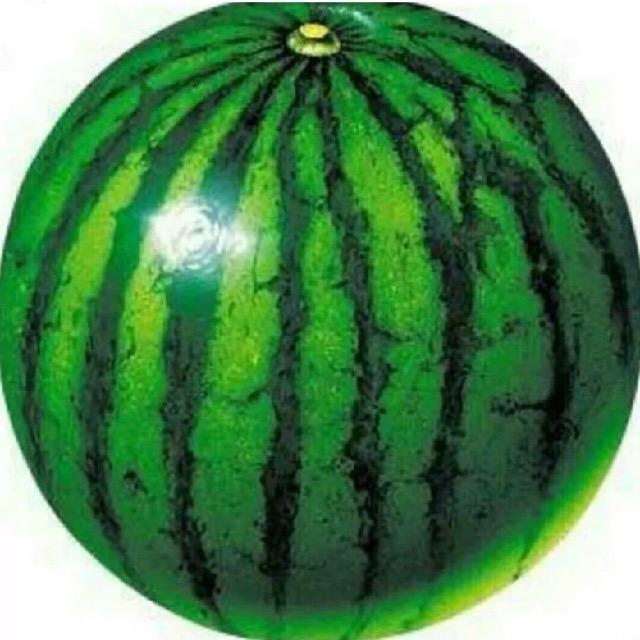 炫酷大西瓜霸主