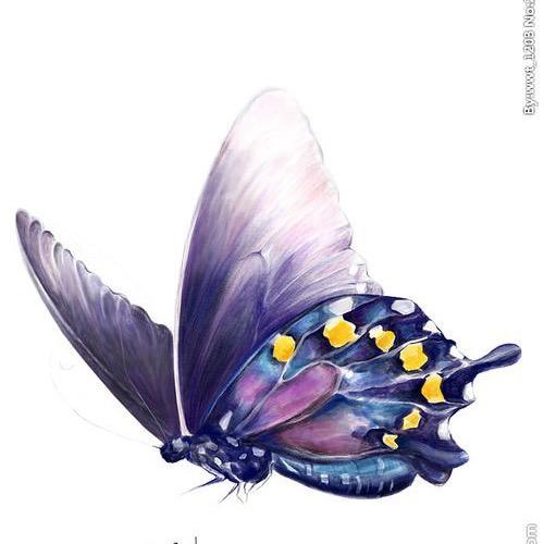 蝴蝶谷翡翠珠宝