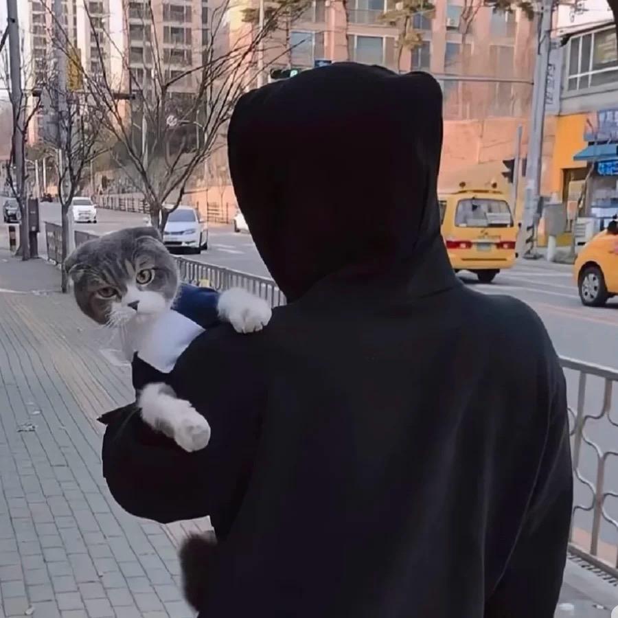 情绪稳定很重要