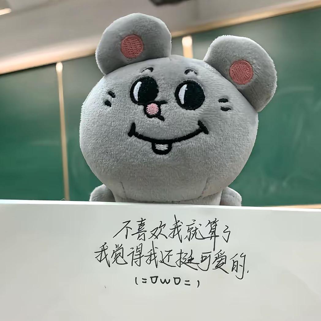 原来猫猫在这里