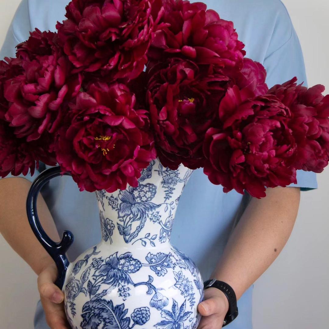 萬亩芍药花田