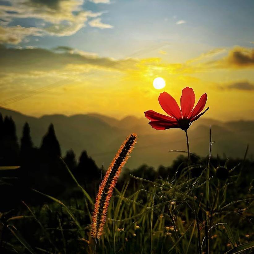 几行小字·情越山海