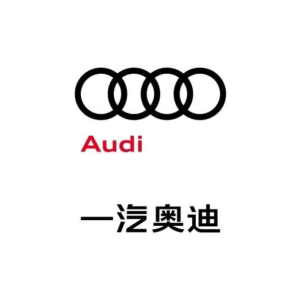 Audi奥迪厂长
