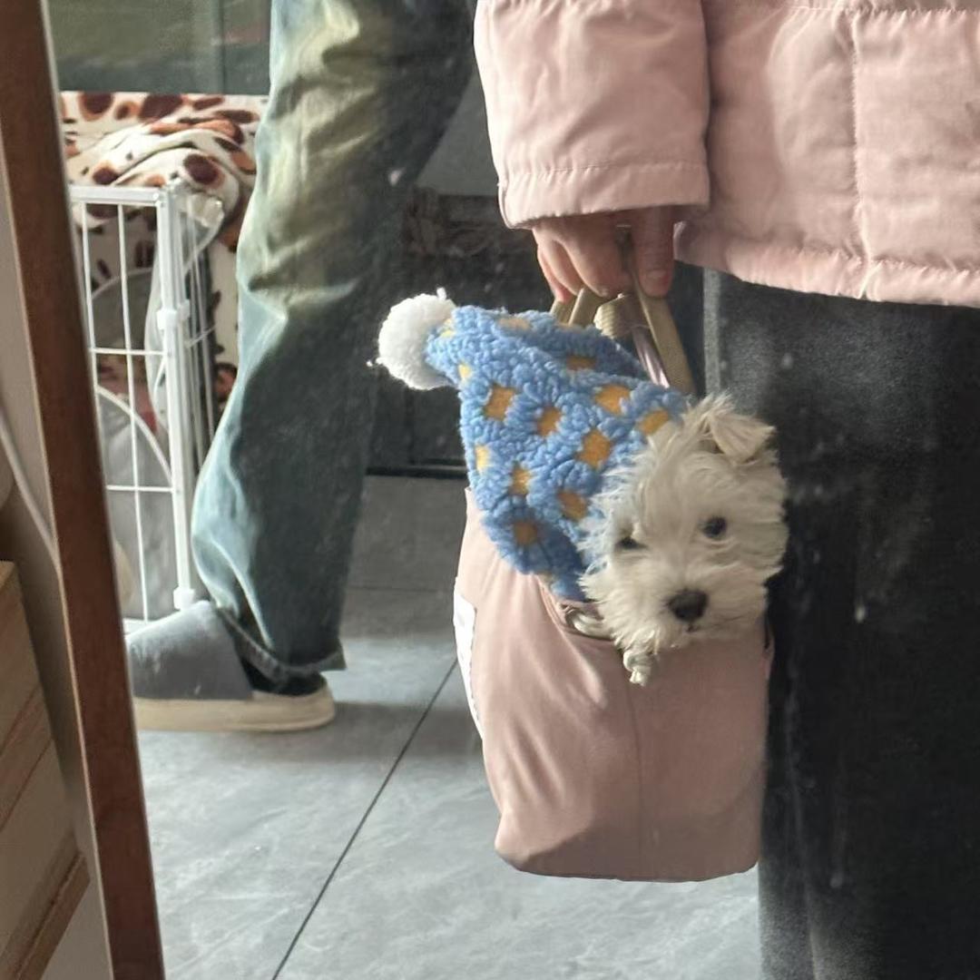 把自家当样板·自装工长老王