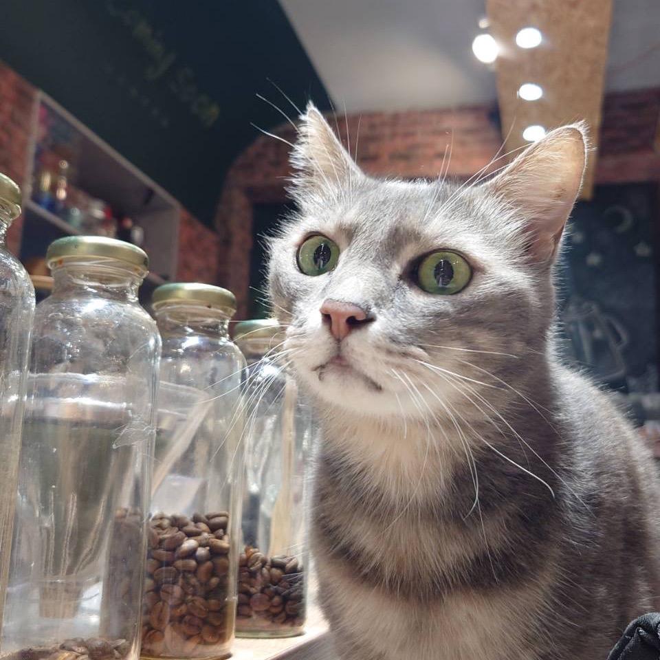 阿覺