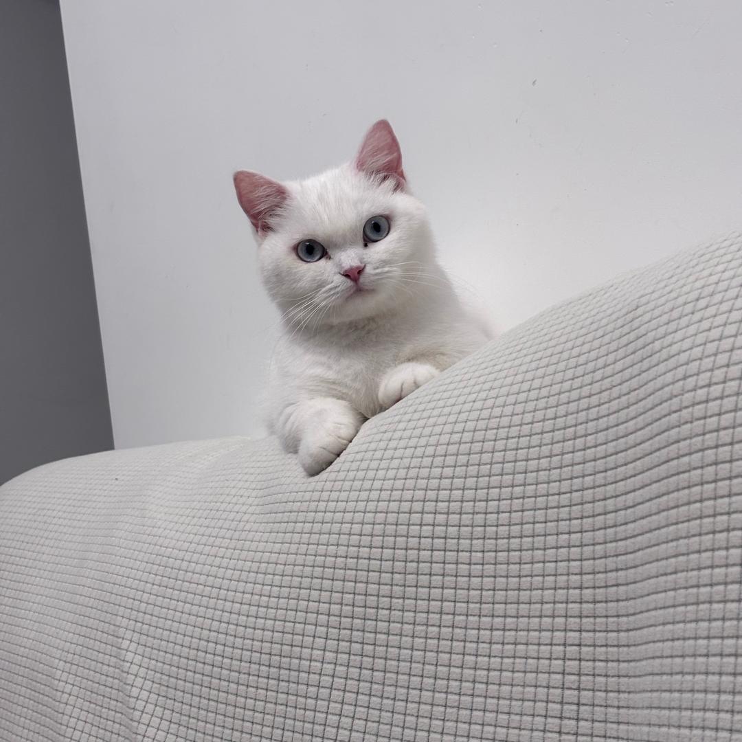 小巷