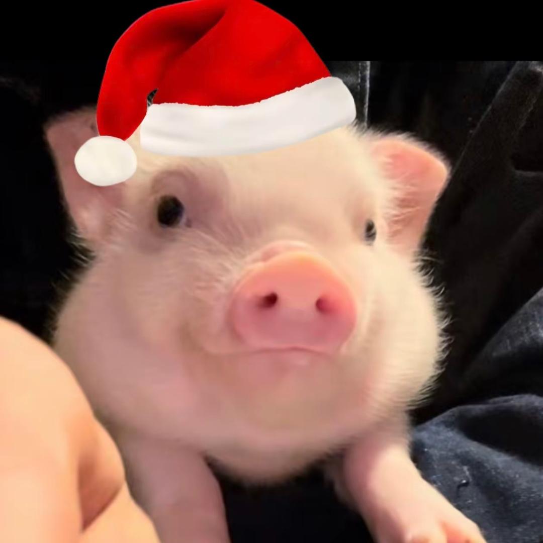 发大财的77🌹✨（长期主义！！）