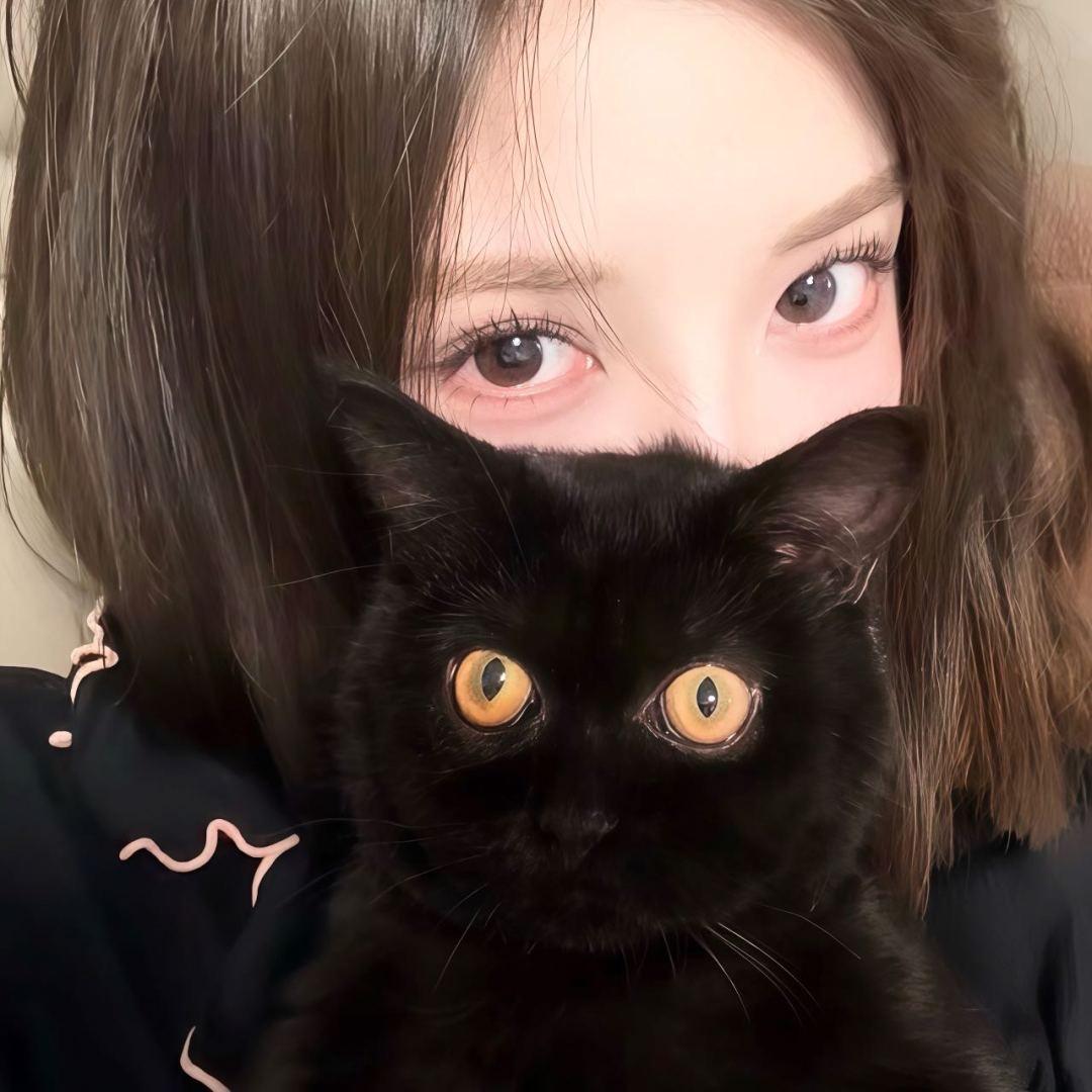 捣蛋cc.