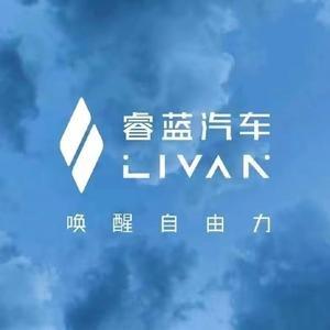 博卡联(重庆)睿蓝汽车