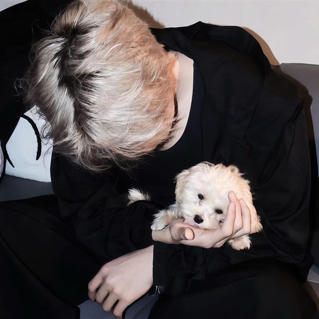 北陌摄影师 在陵水