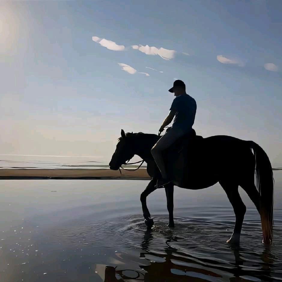 纸先生（废纸接货）