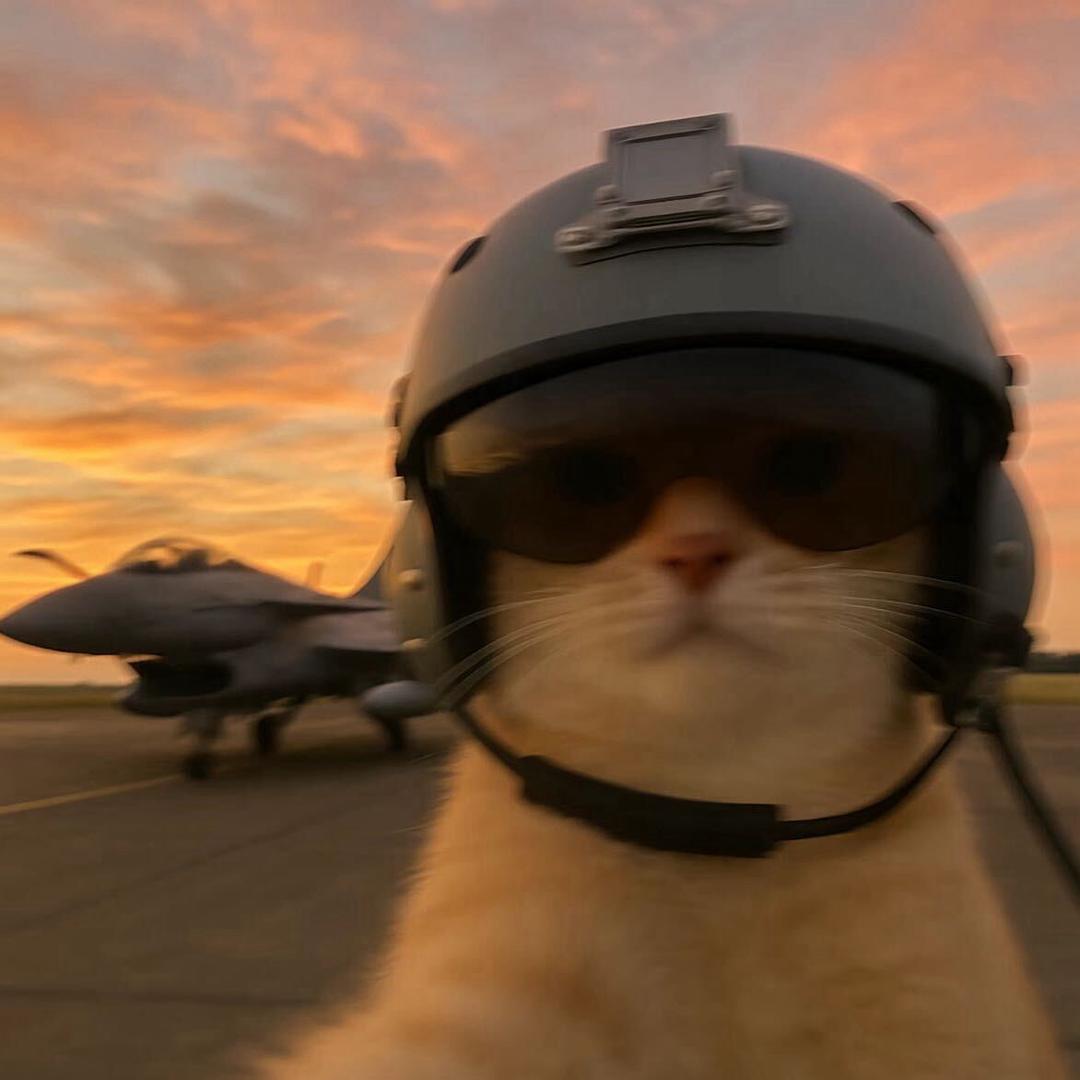 🌈宇宙无敌第一chou🌈