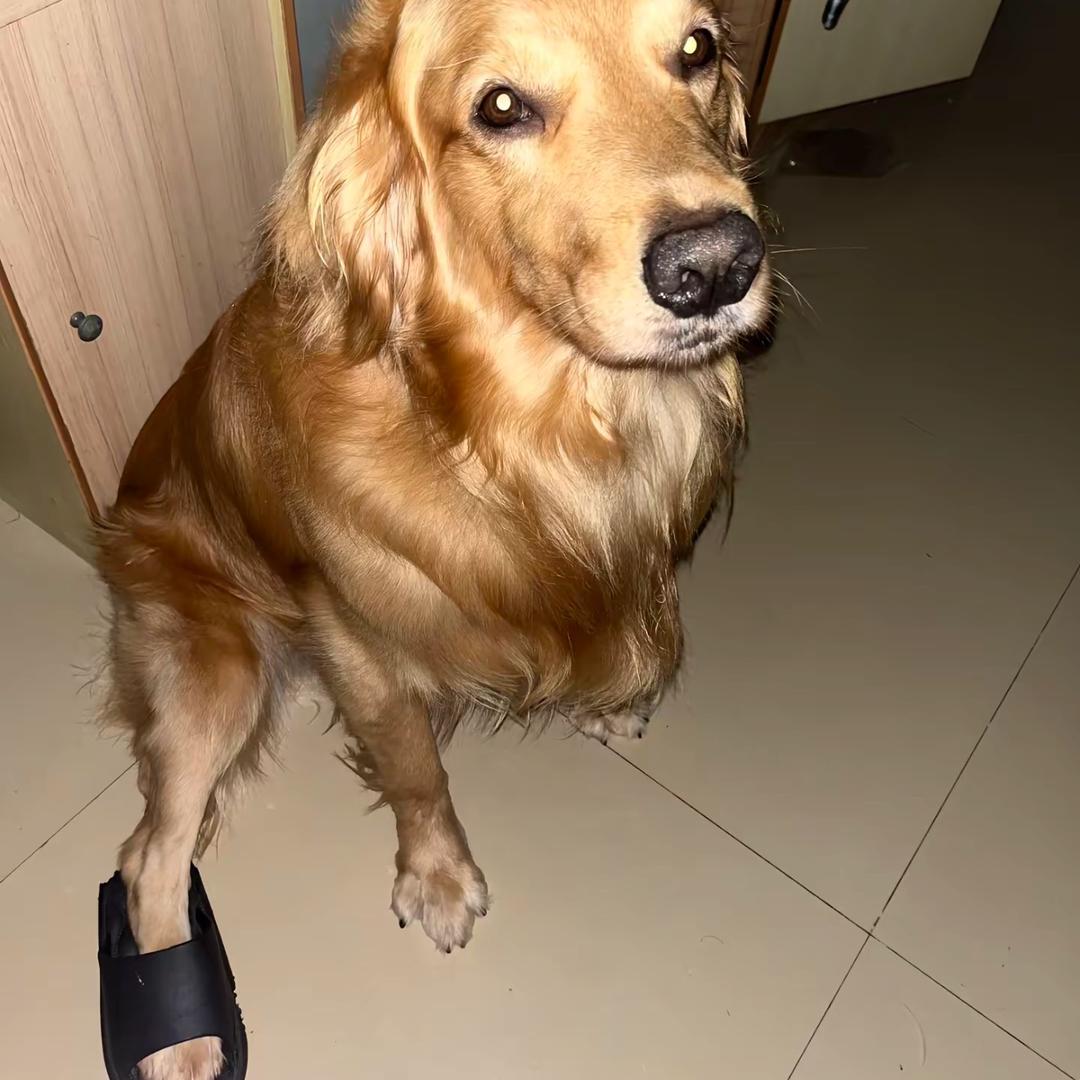 今天