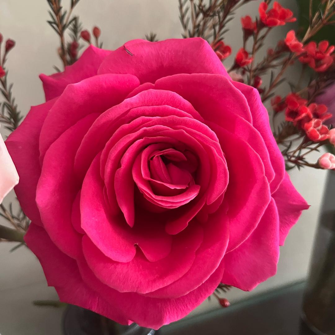 金质优选数码配件