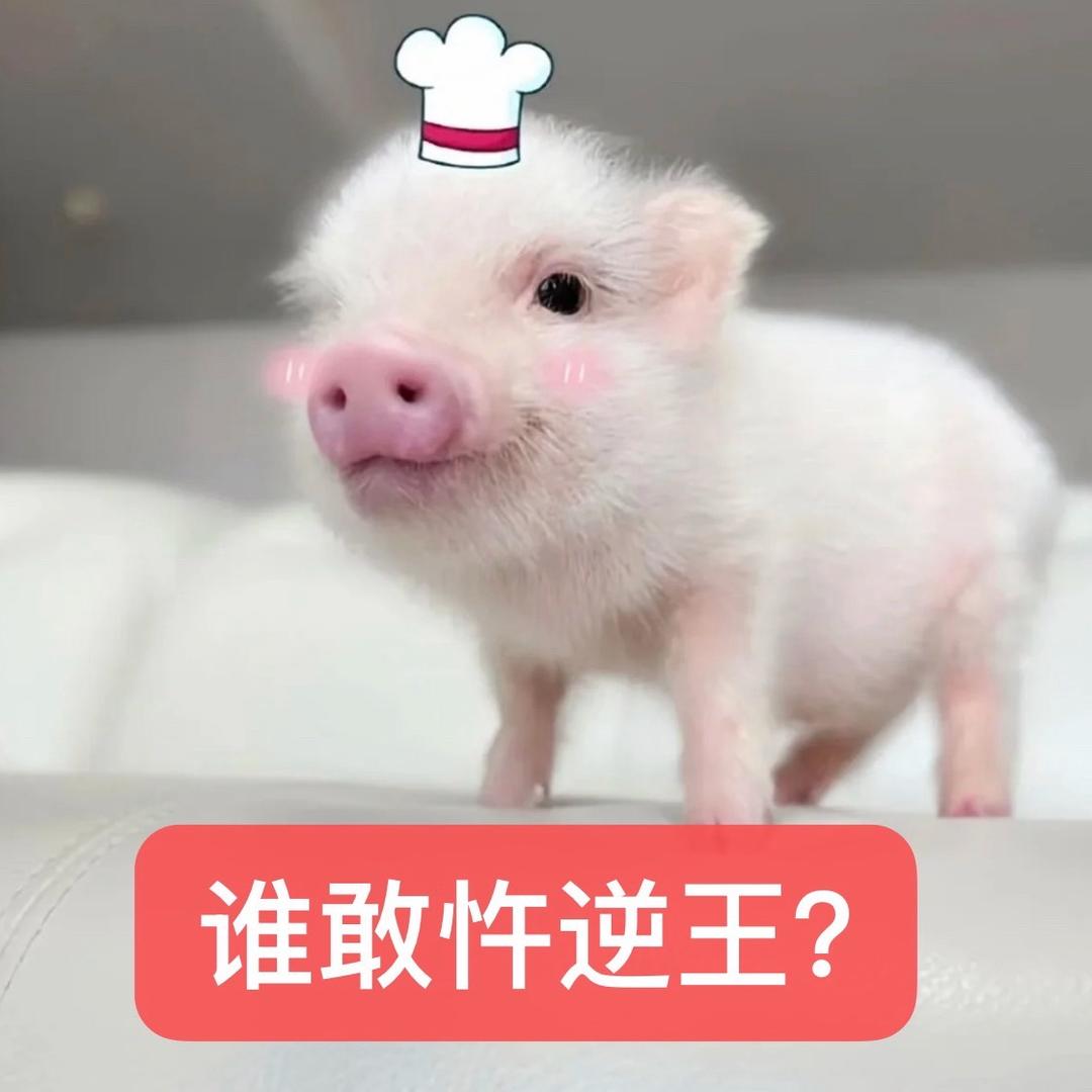 你看起来很好吃