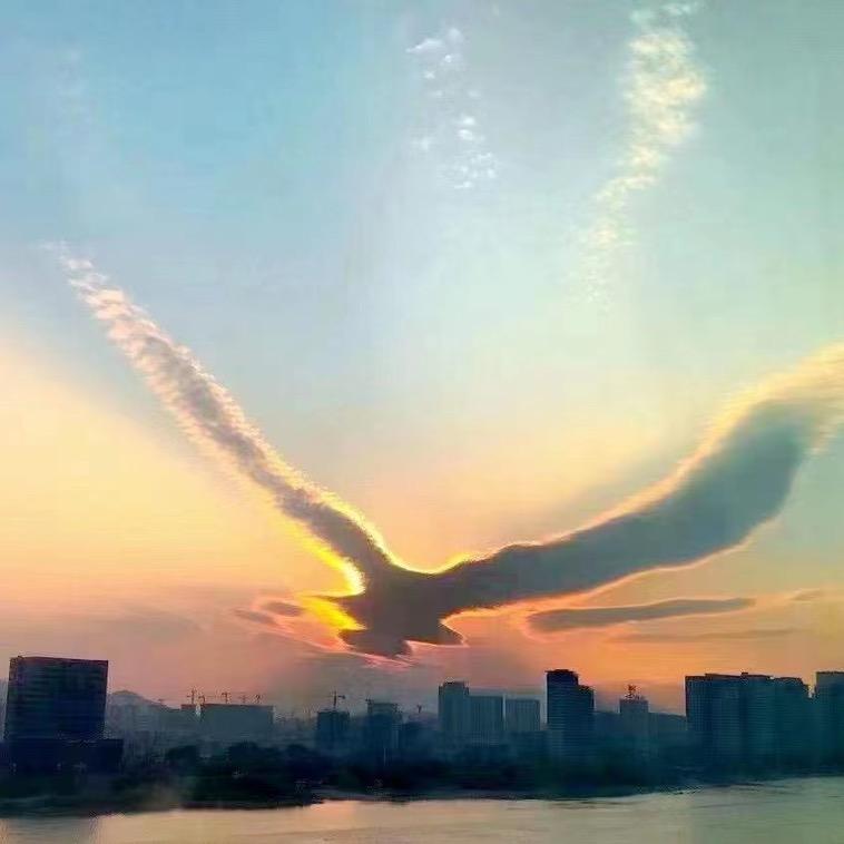 @强哥