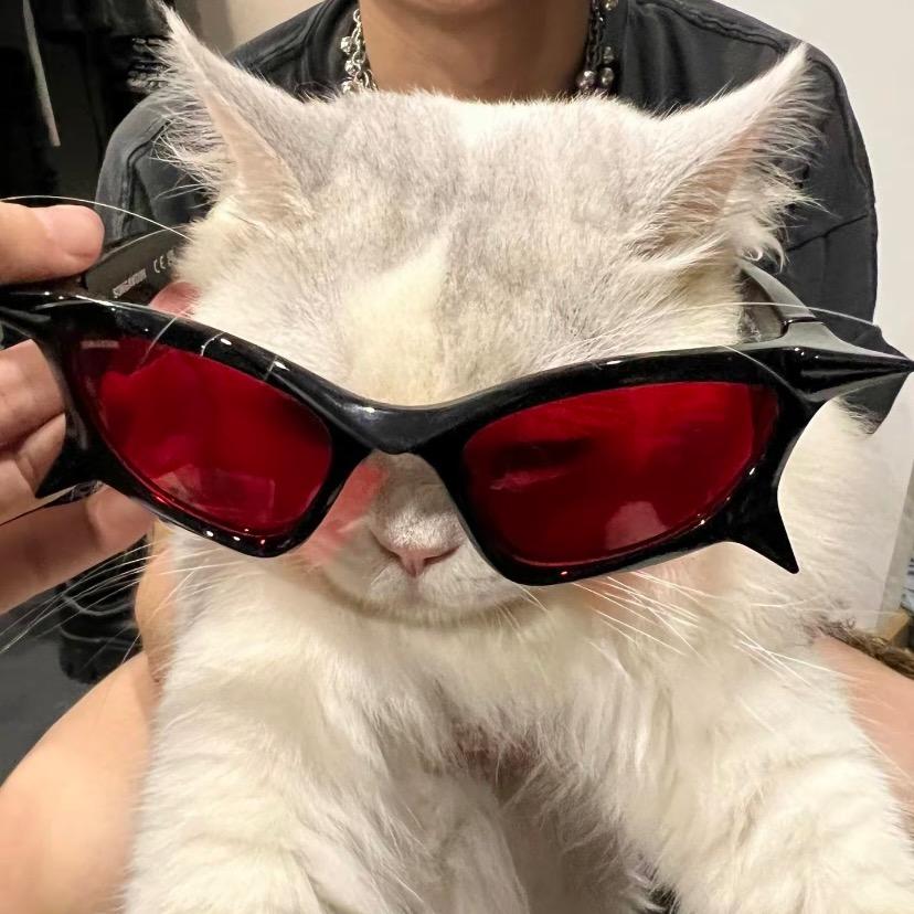 绿豆鲨（健身版）