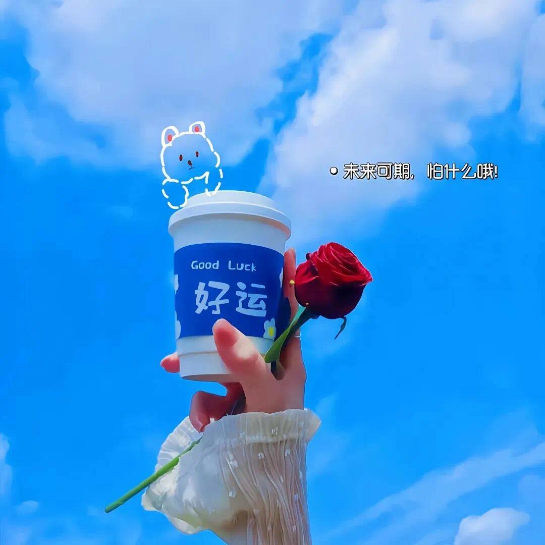 Y洋柿子开花🌼