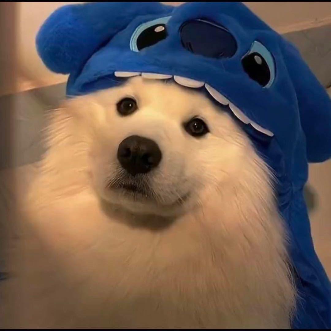 00@