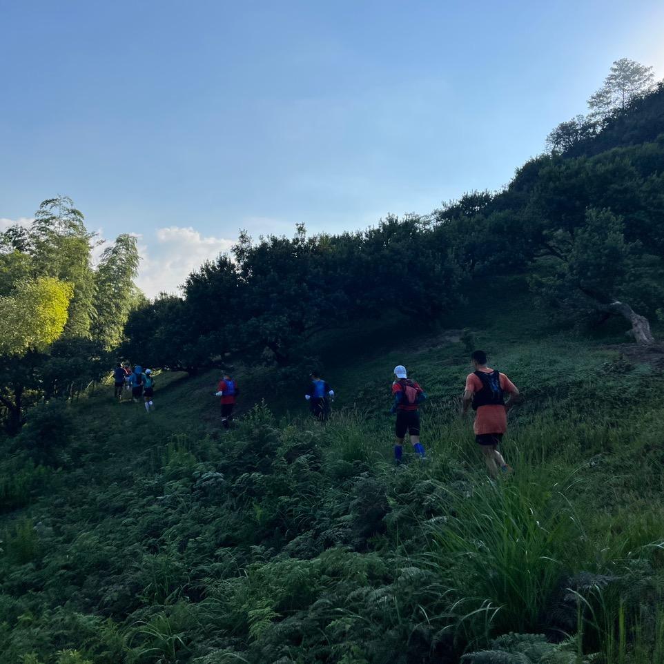 独来独往的大神