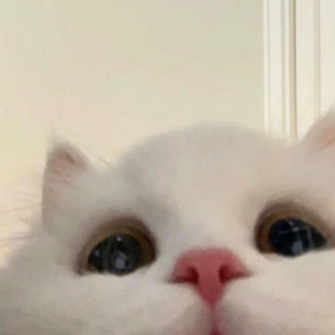 zxxi