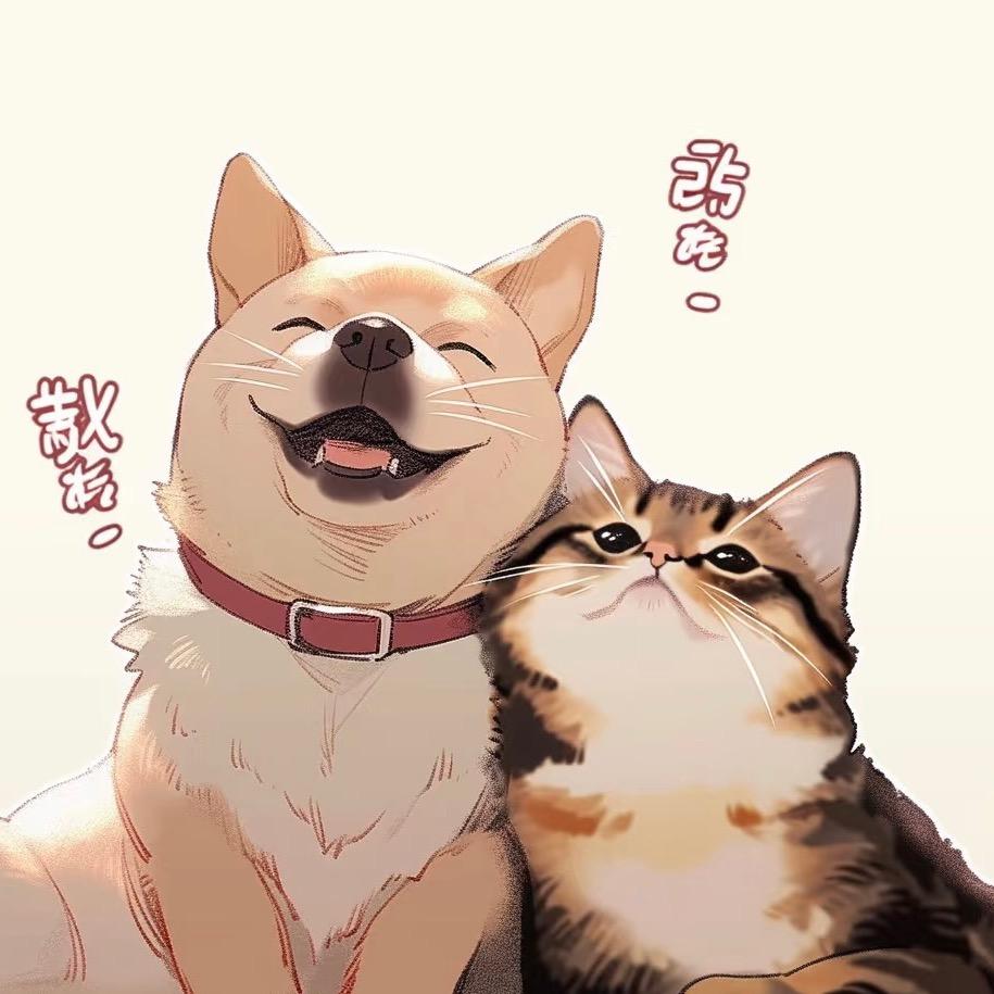 格格喵宠物