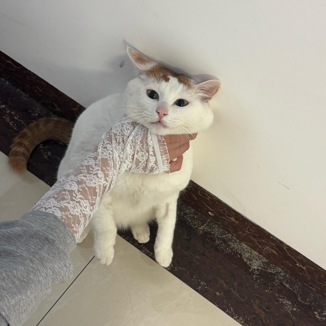 三水三水