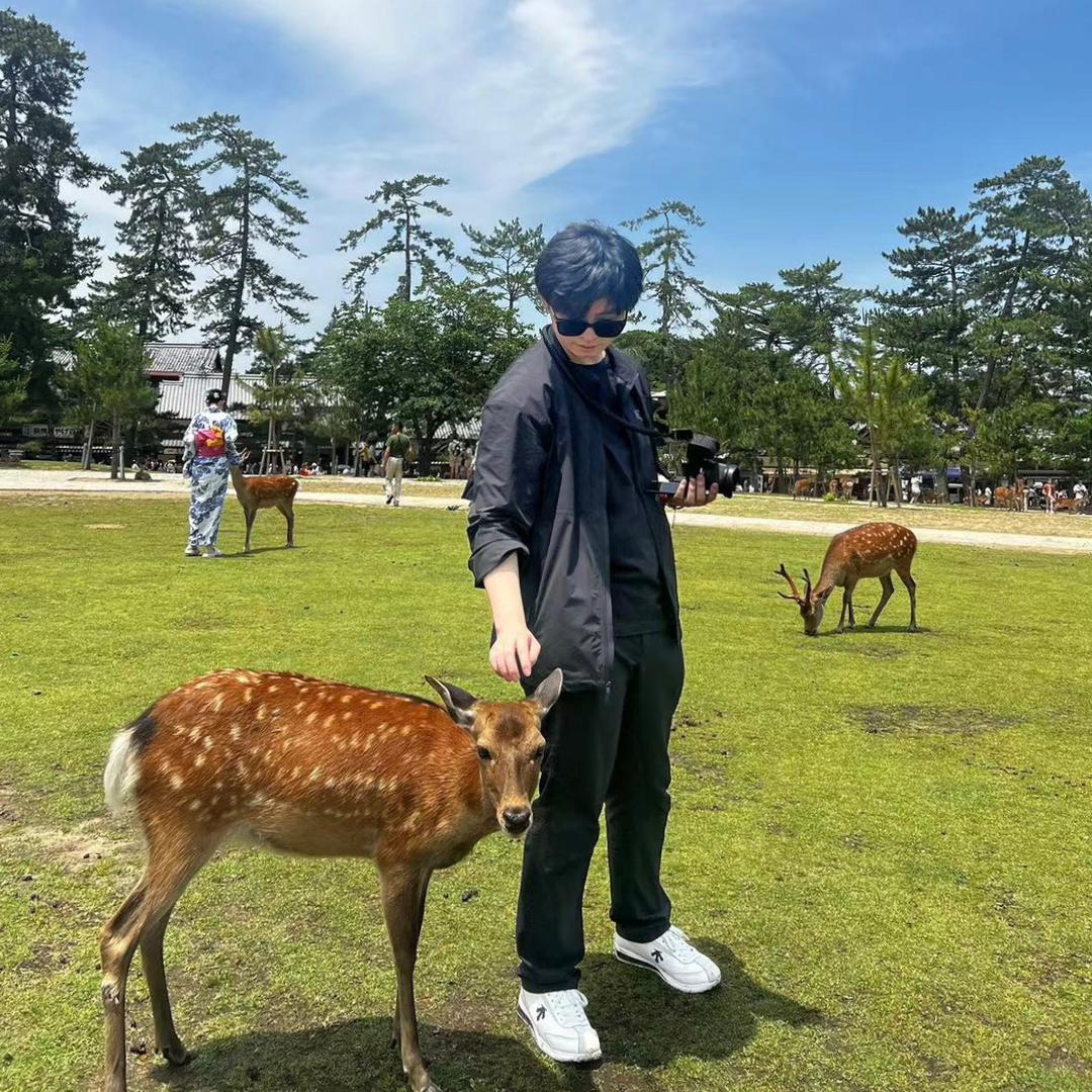 马修去拯救地球了