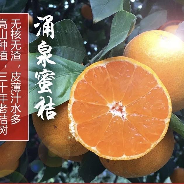 老王鲜果蜜橘季