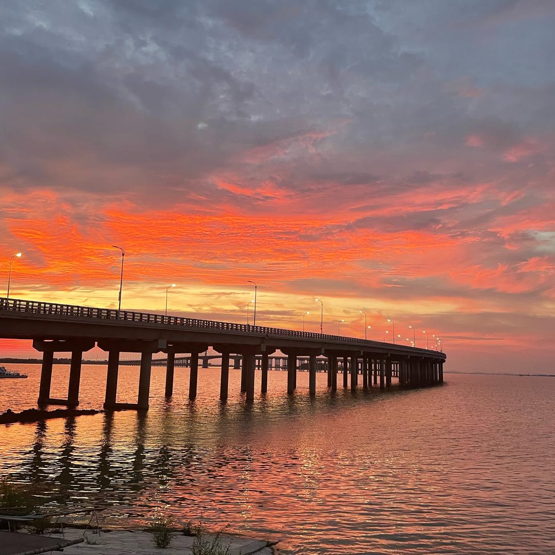 小张（瓦埠湖水产干货）