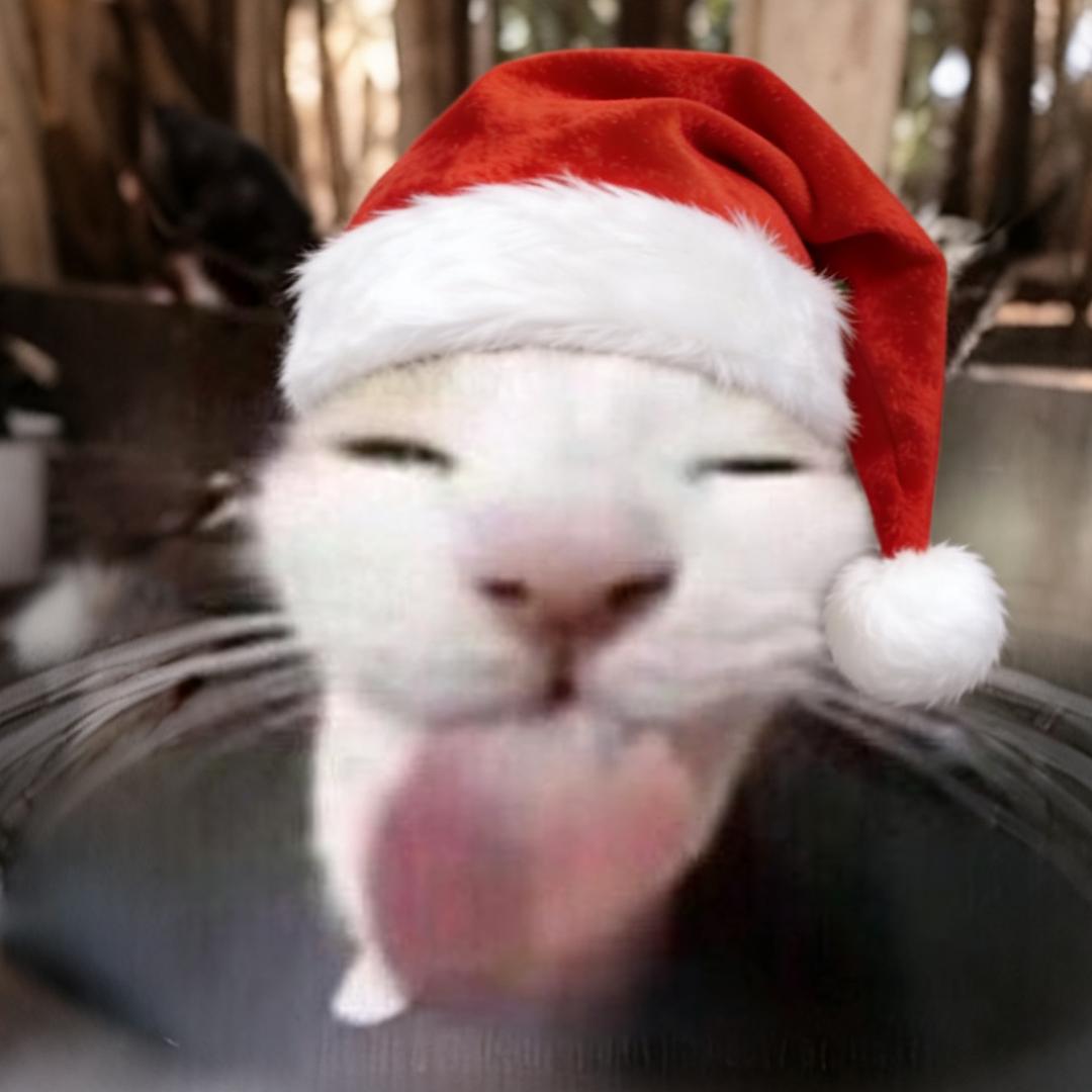 和老婆玩sm被小三打死