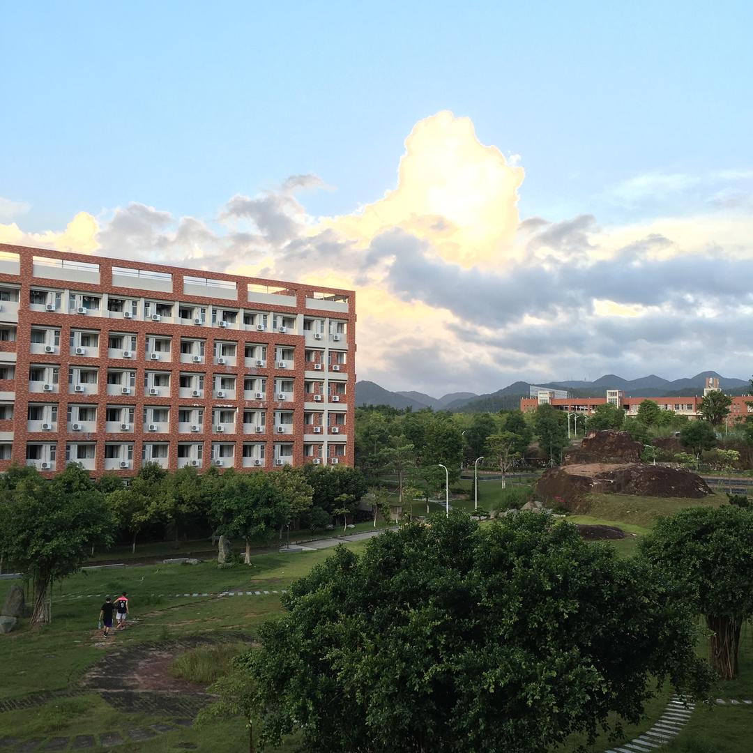 苦恋
