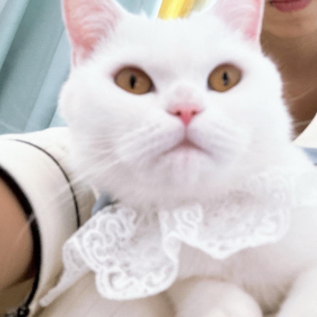 萱儿