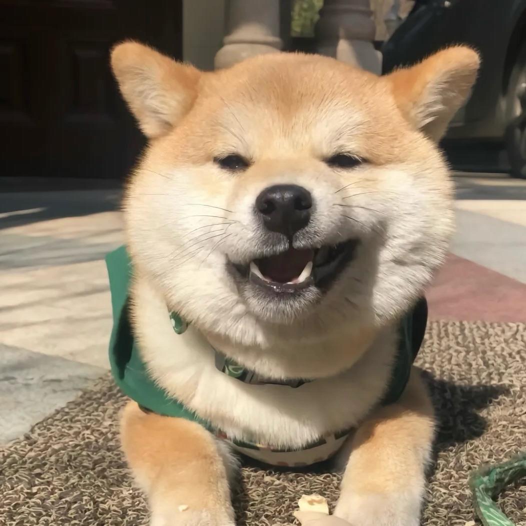 十方🍂