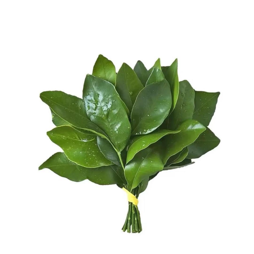 芽妮酱
