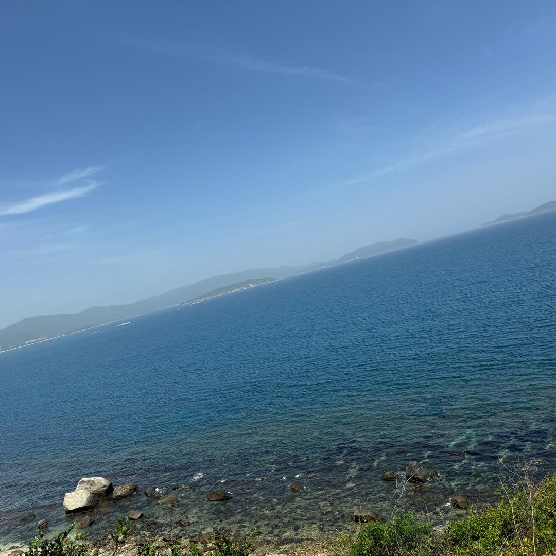 🦅永恒🕷️