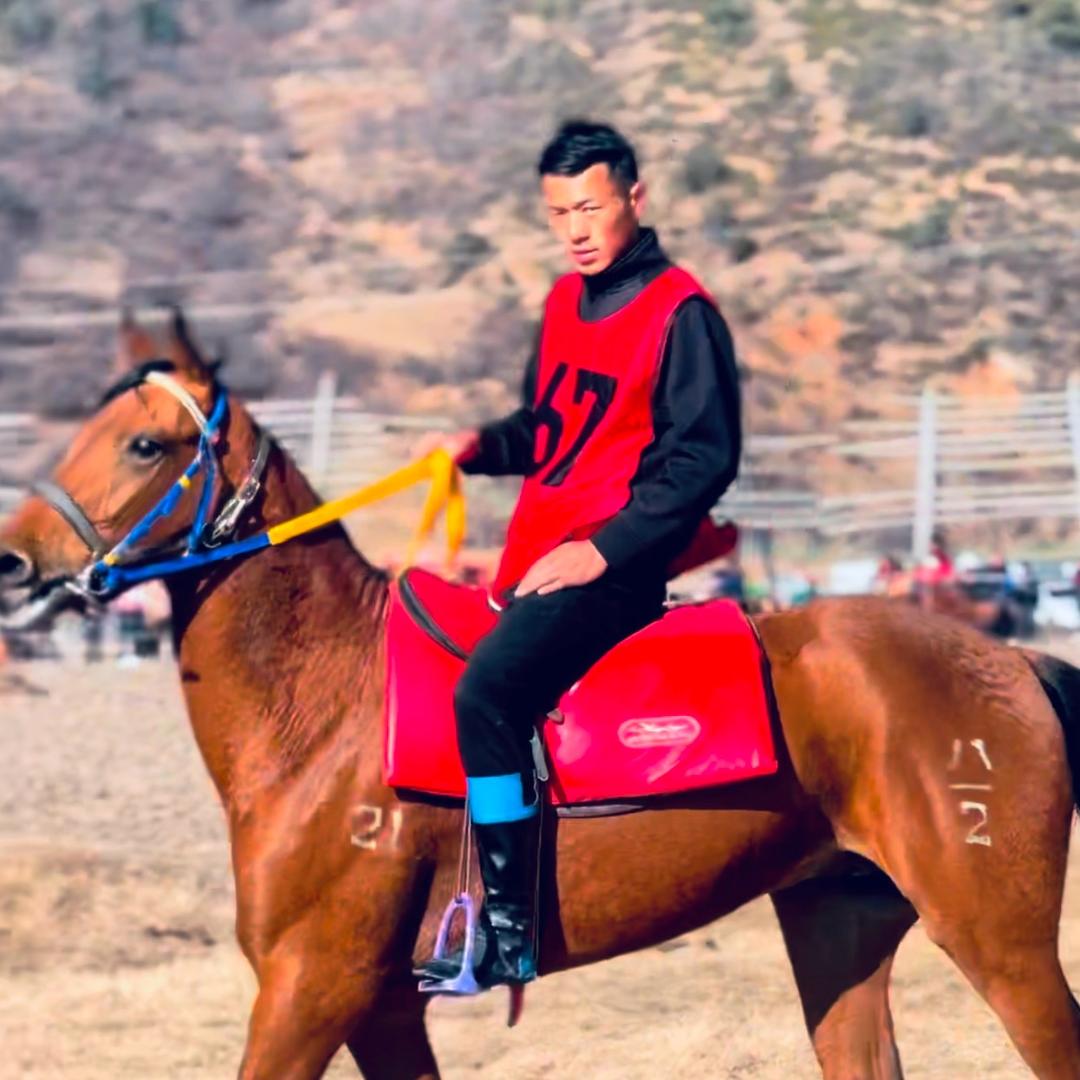 红骏花海马场六六