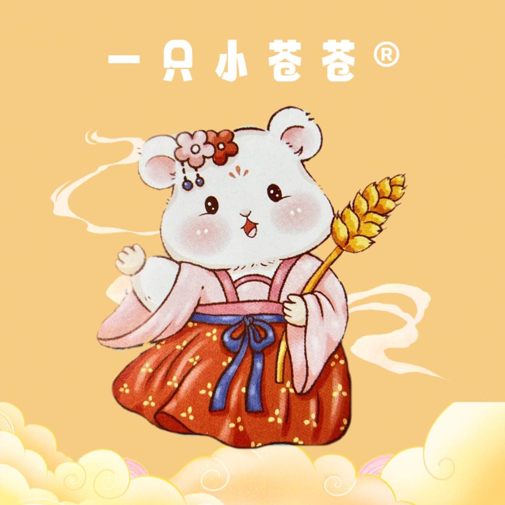 一只小苍苍金丝熊生活馆实体店