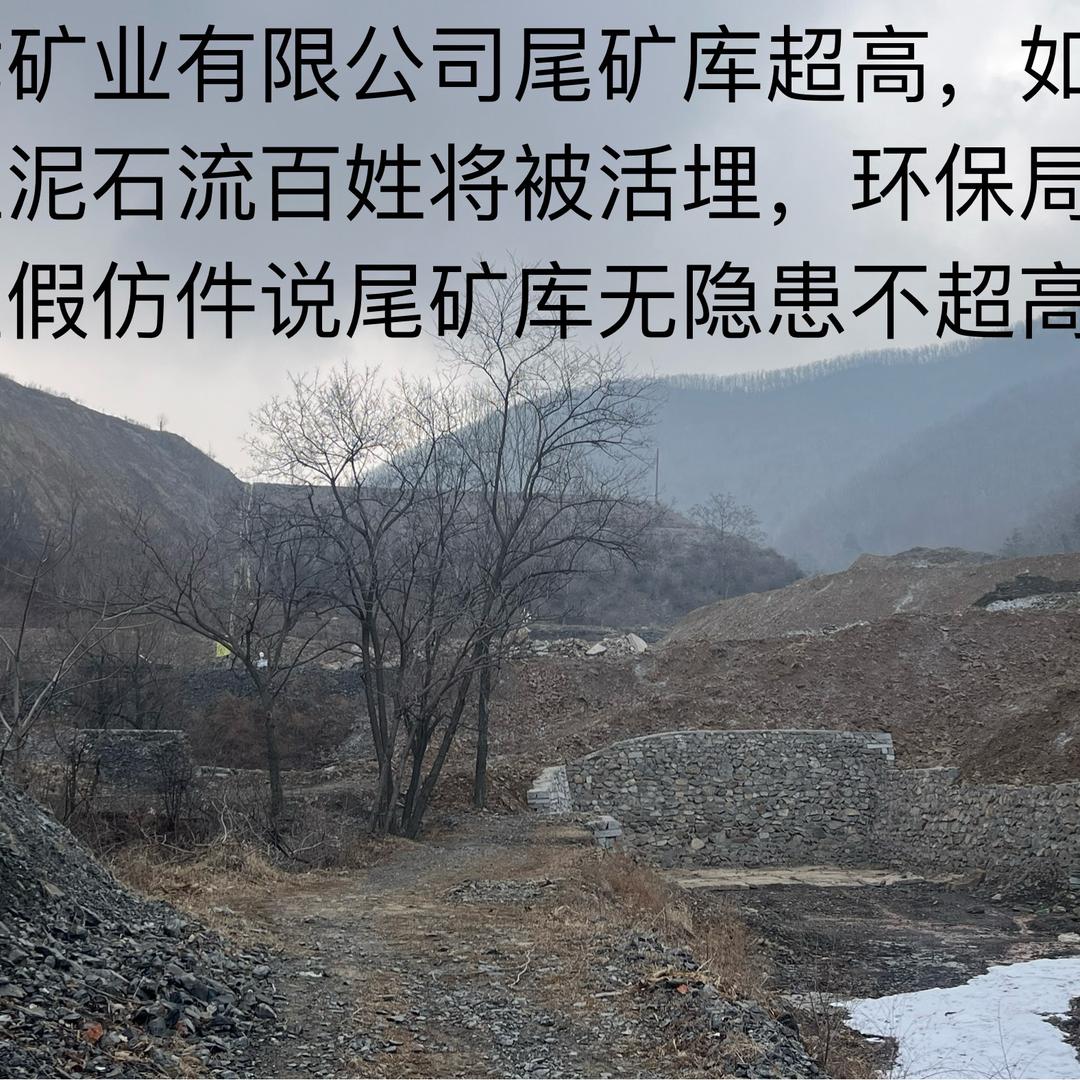 小小的鱼儿