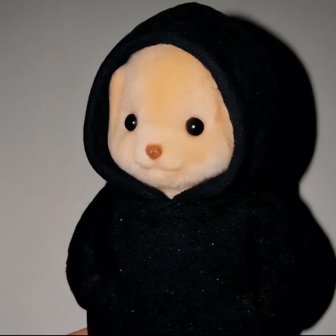 杰尼🐢